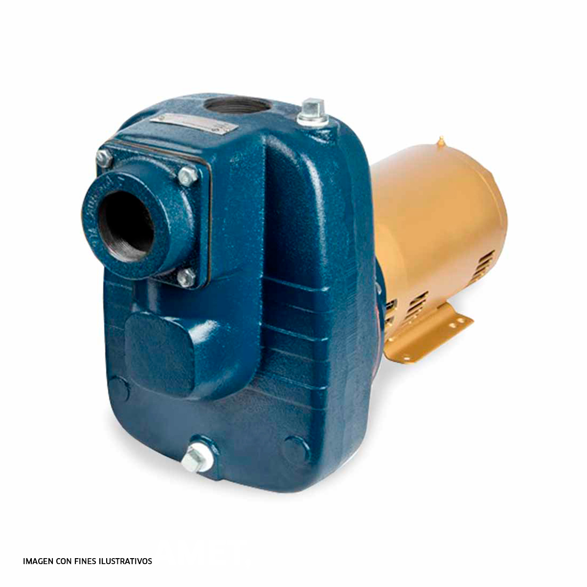BOMBA DE 3HP230V1PH2 X 2